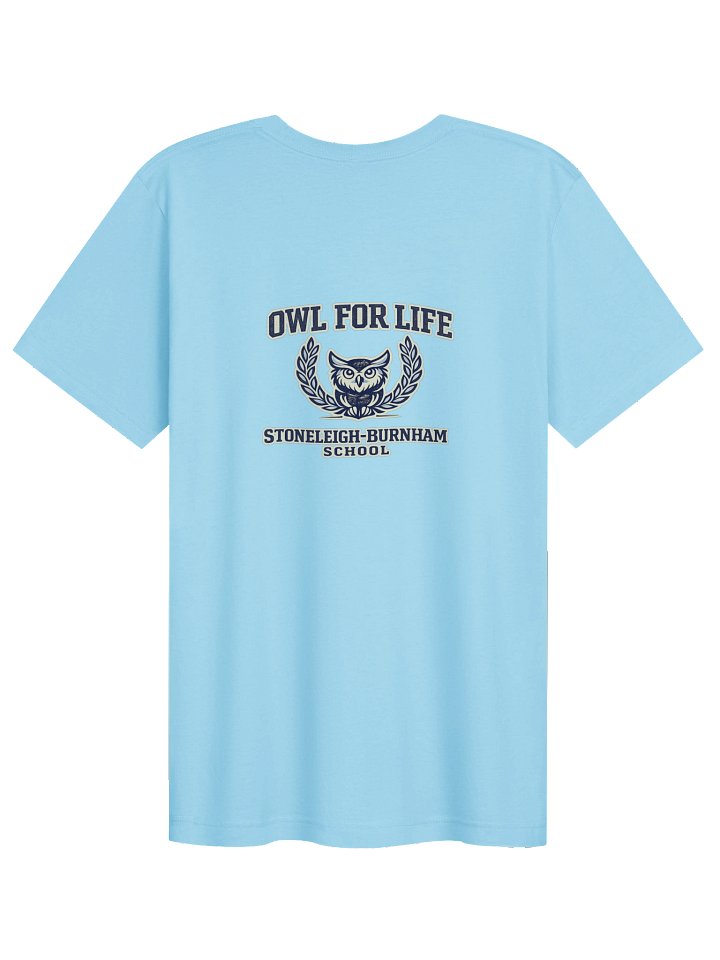 No Ordinary Bird Owl Tee product image (8)