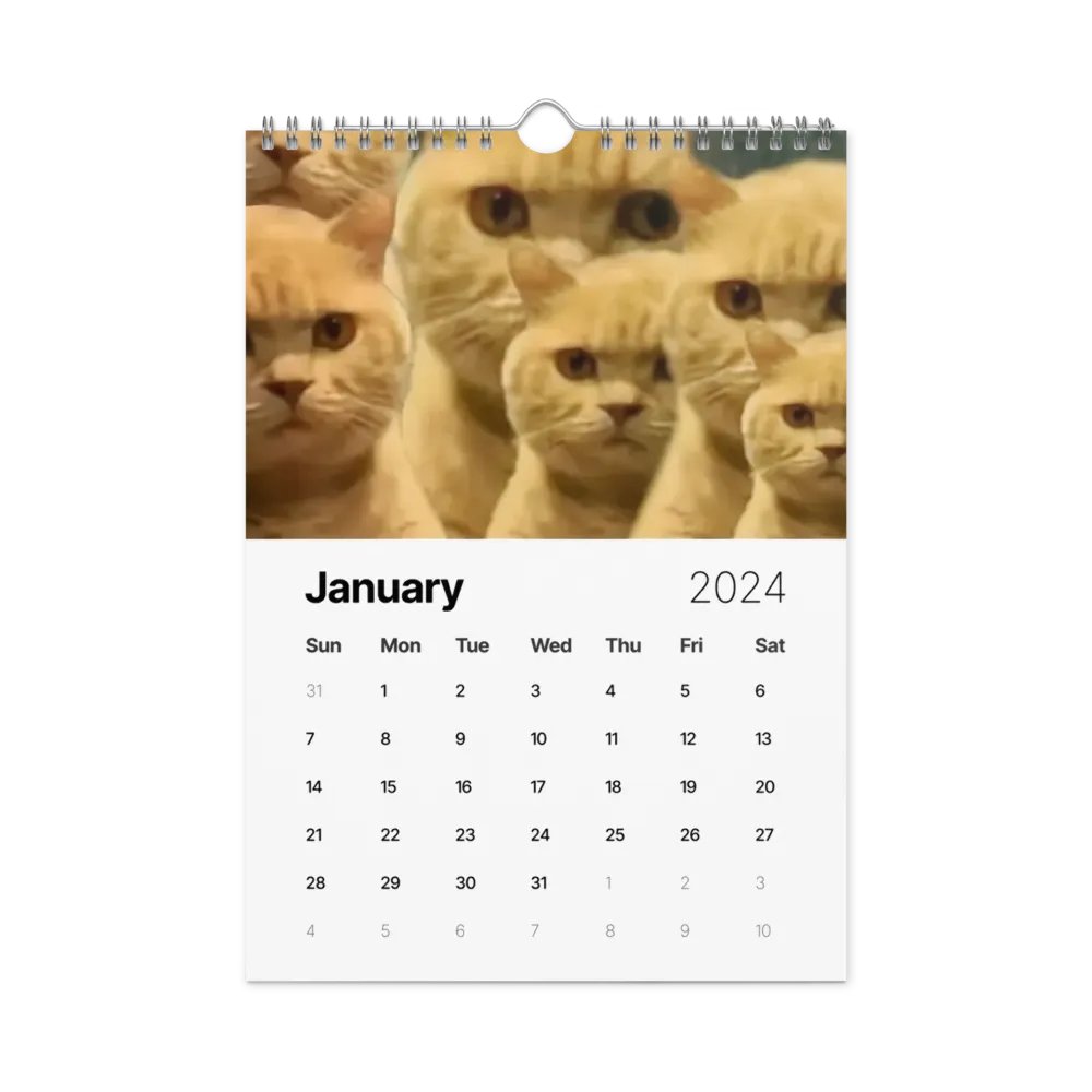 Wall Calendar (2024): Meme Cats product image (8)