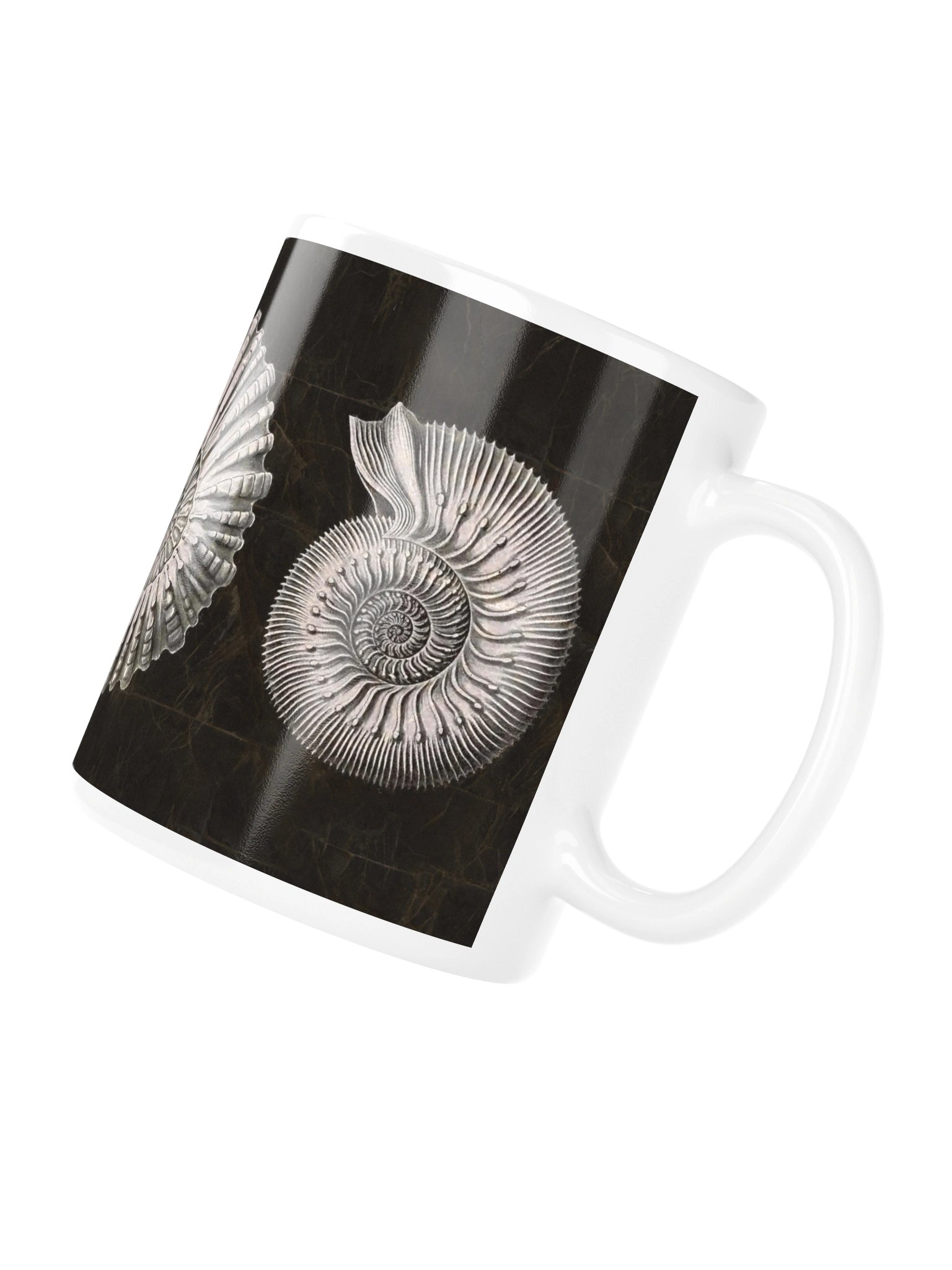 Ammonites – Haeckel Mug product image (4)