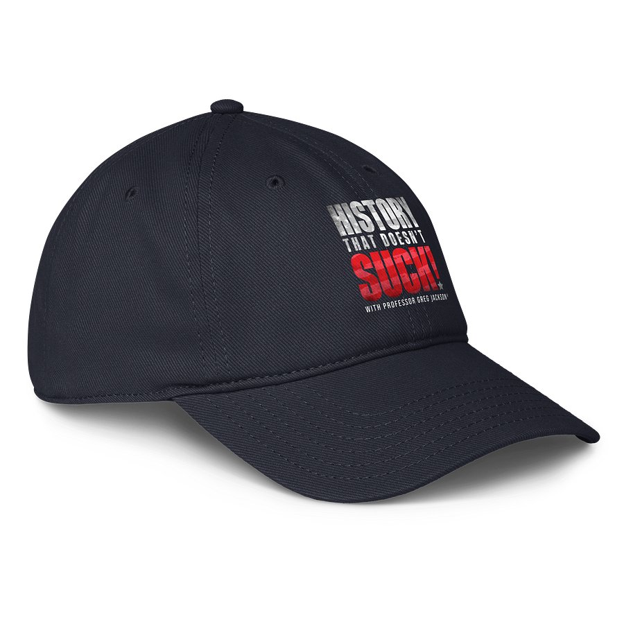 HTDS baseball cap product image (4)