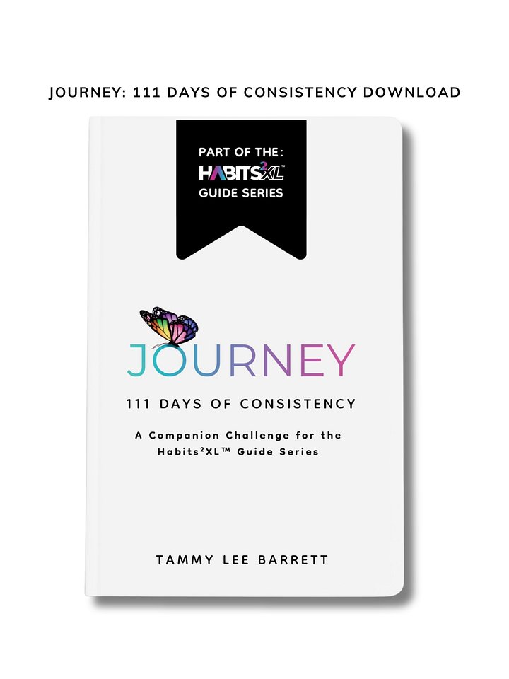 Journey: 111 Days of Consistency PDF Printable (Download) product image (1)