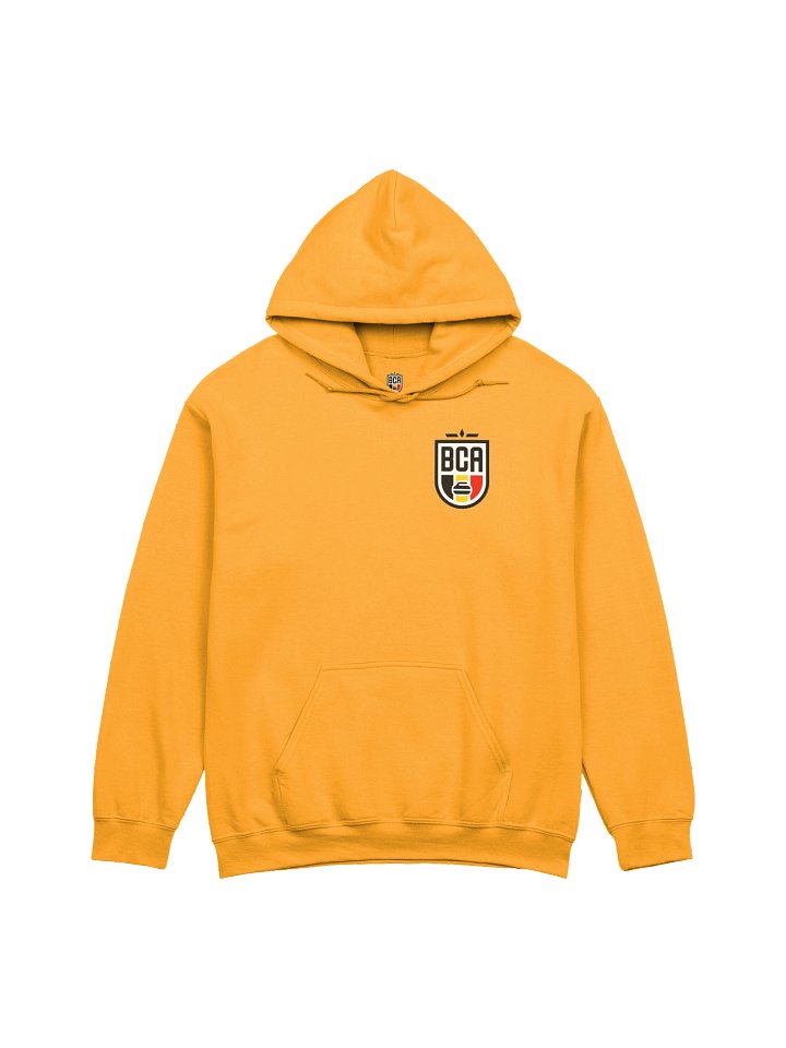 BCA Shield Logo Hoodie product image (2)