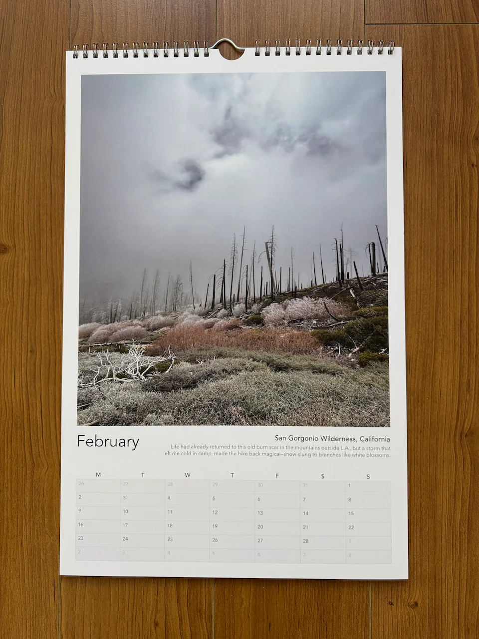 Calendar 2026 - Shifting Light product image (6)
