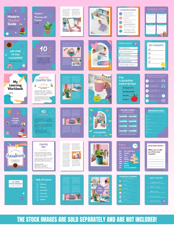 Ebook Templates for TPT Sellers product image (5)