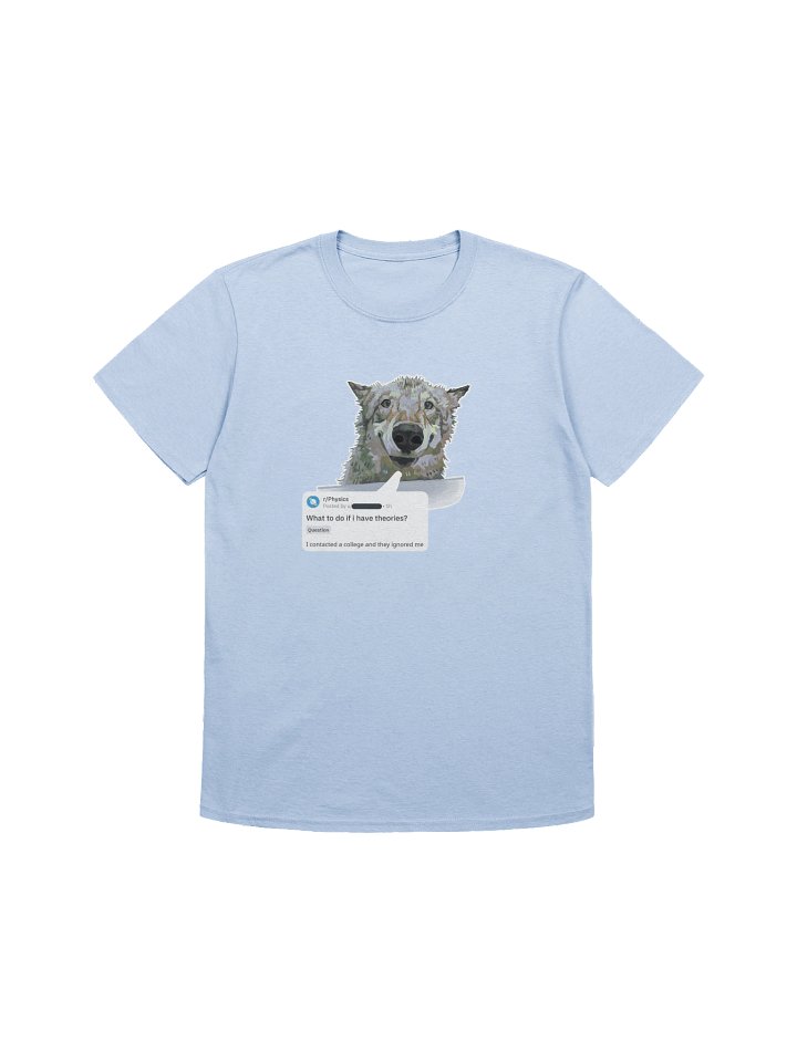 What to do if I have theories? Tee product image (1)