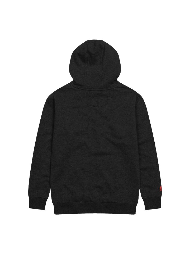 Limerence Black Embroidered Hoodie product image (2)