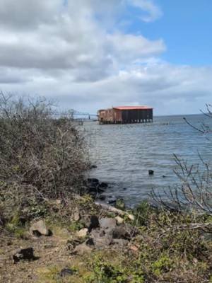 Can I find this riverfront location? - S4E093 #geolocation #OSINT
