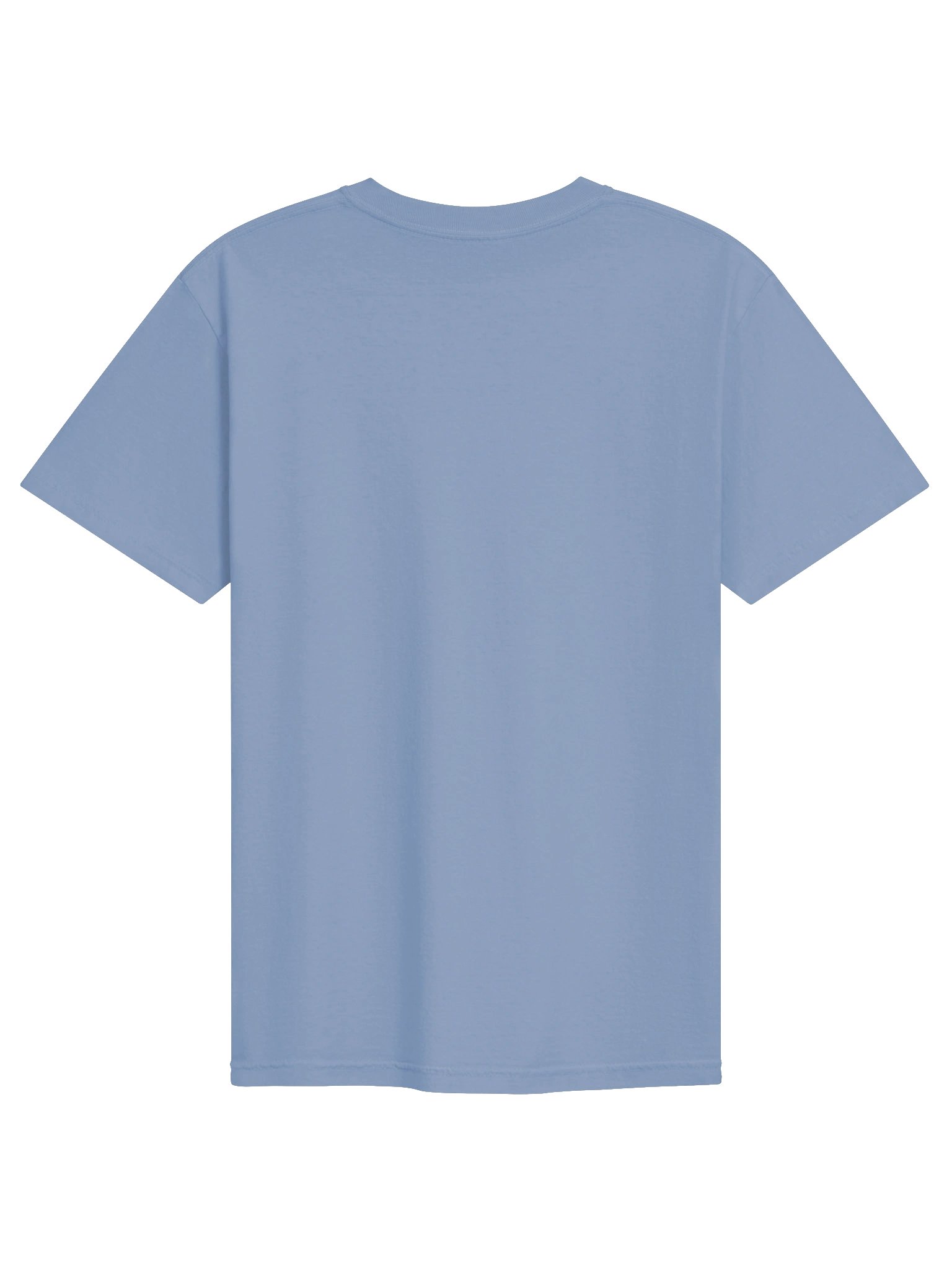 Bloom T-Shirt - Washed Denim product image (2)