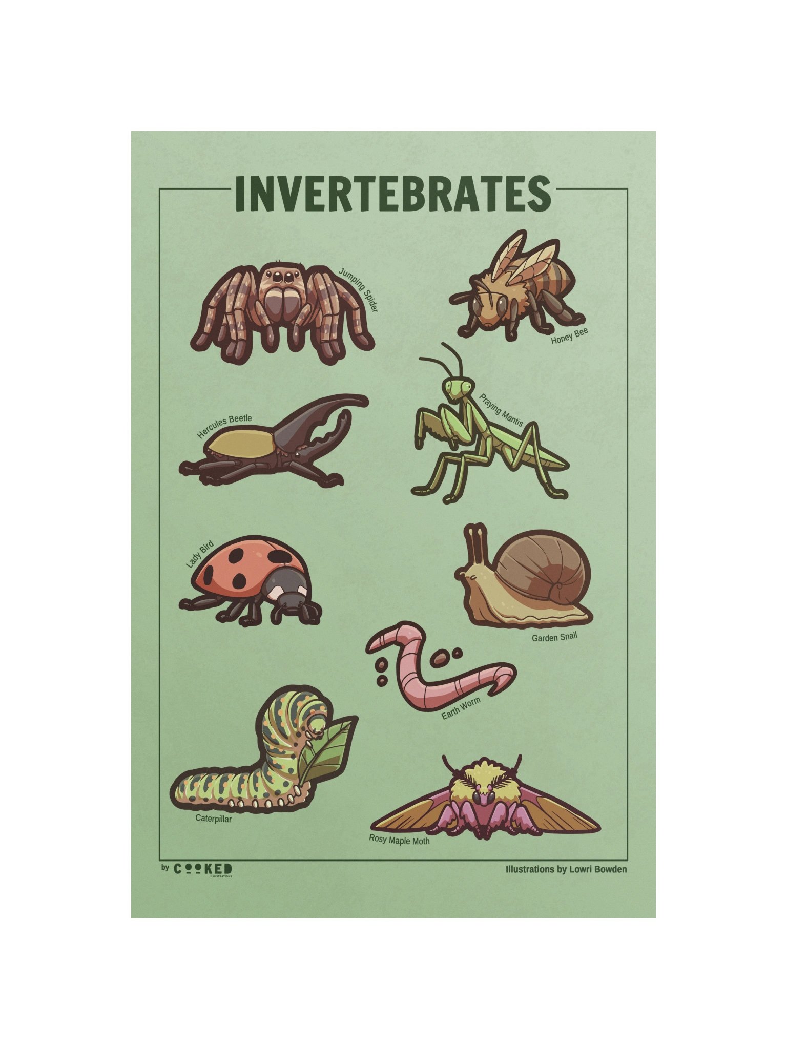 Adorable Invertebrates - 9 Invertebrate Illustrations - Original Illustrated Poster product image (1)