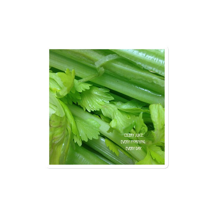 Celery Juice- Every morning. Every day- Magnet product image (2)