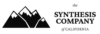 The Synthesis Company