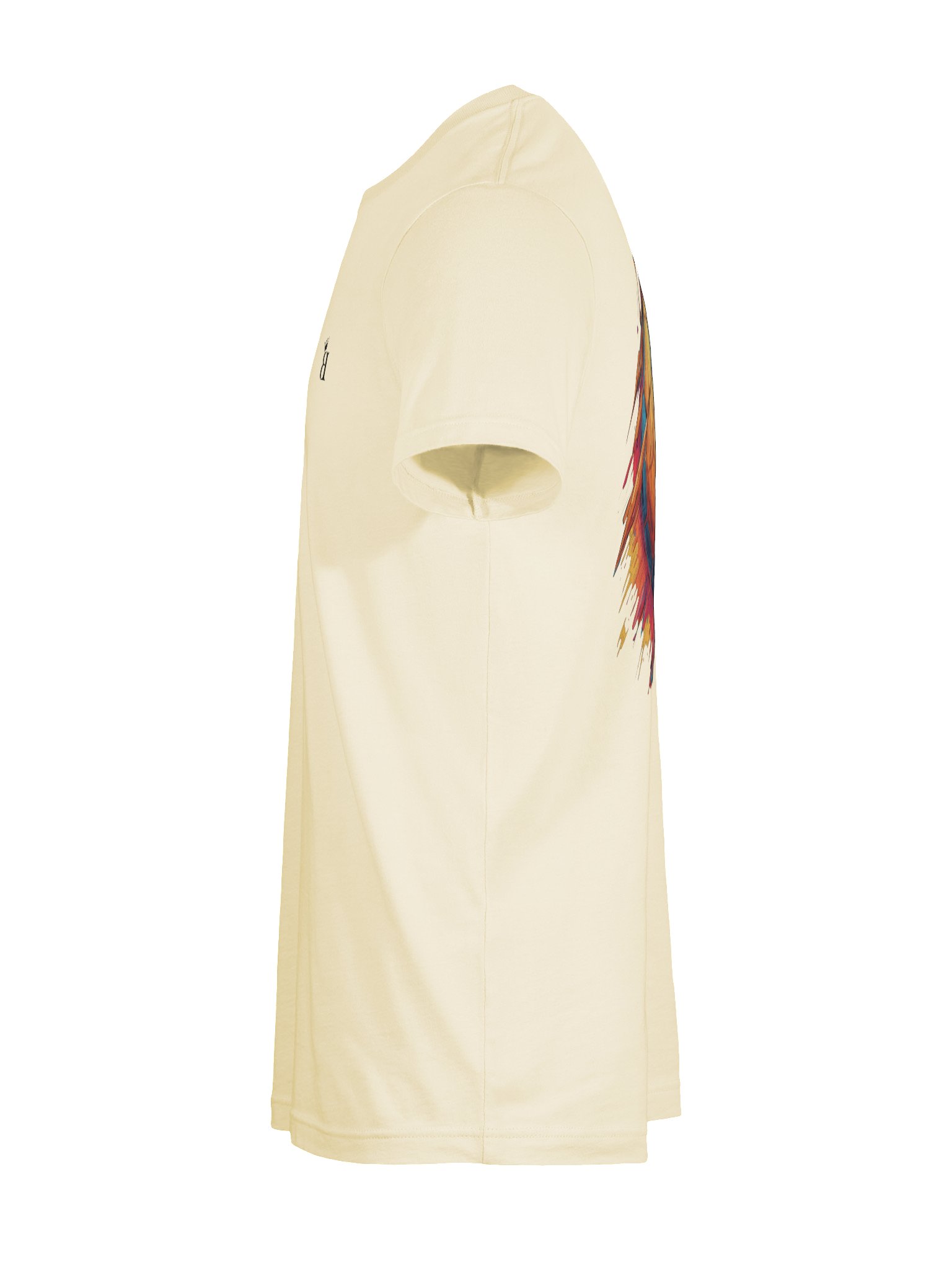 Champion T-shirts product image (29)