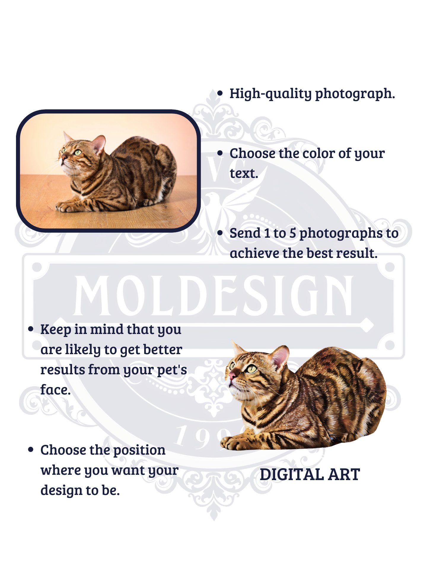 YOUR BENGAL! / T-SHIRT WITH PERSONALIZED NAME / DIGITAL ART III product image (4)