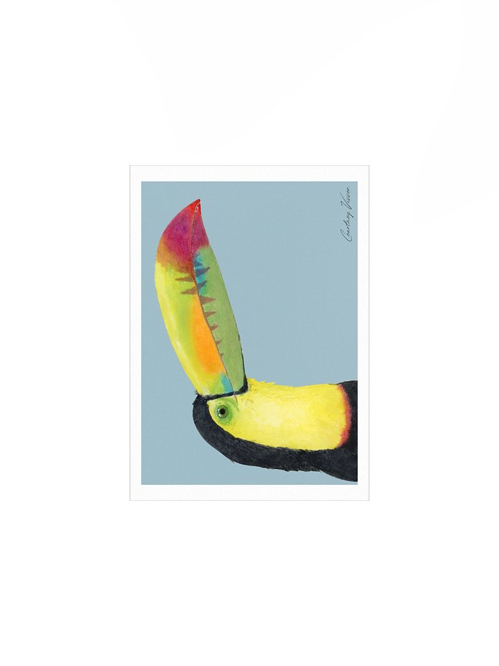 Toucan print product image (2)