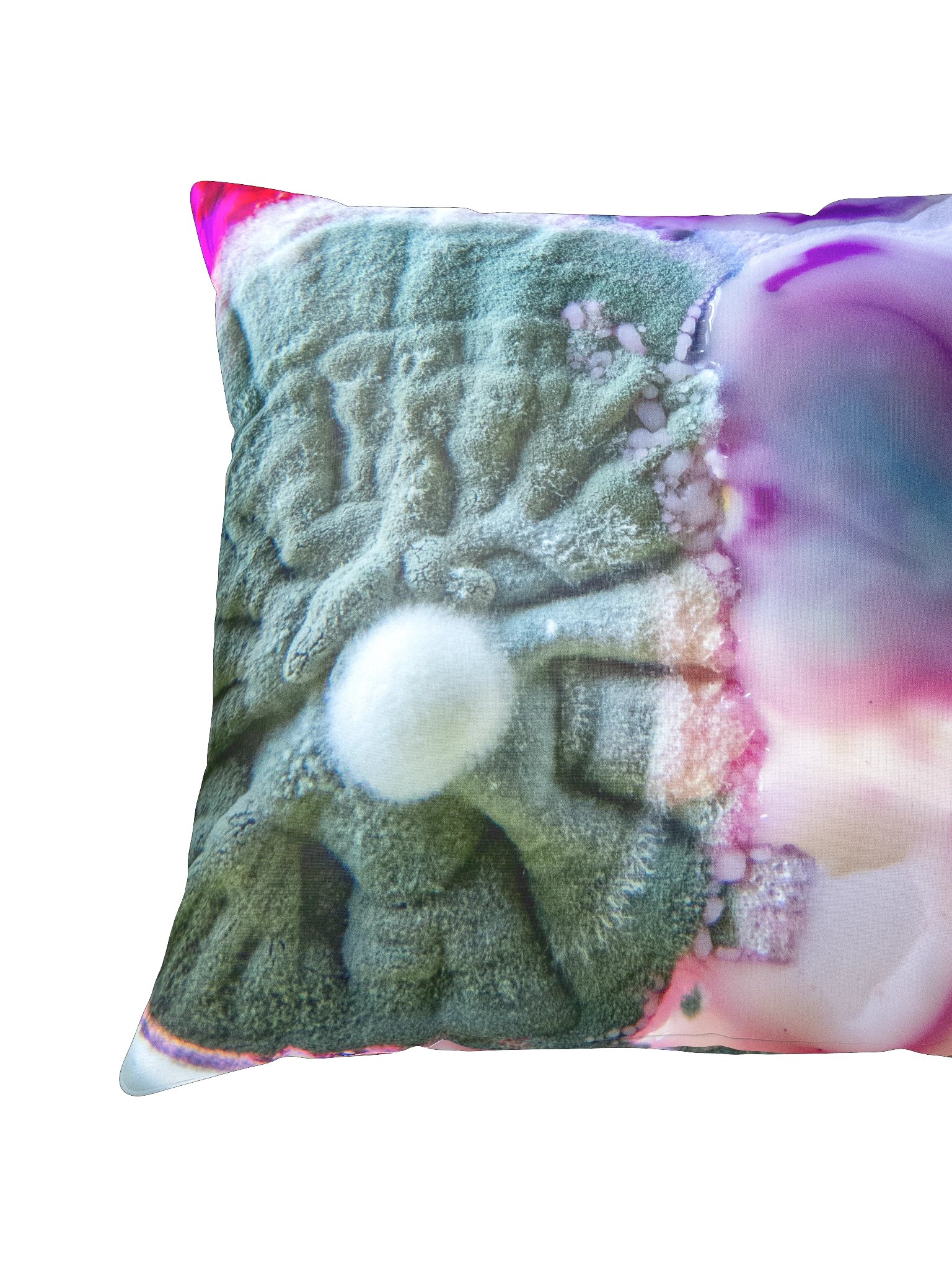 Pink lizard product image (3)