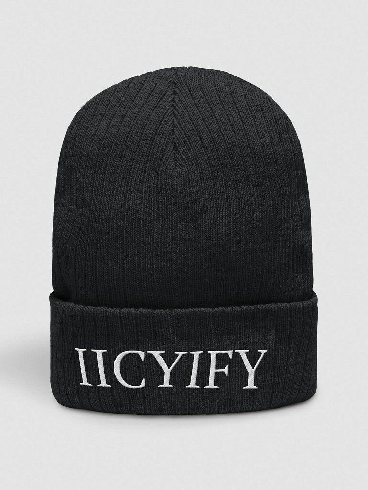 BookTok Ribbed Beanie product image (1)
