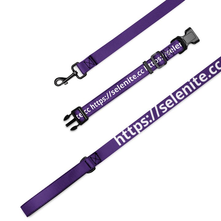 Selenite Leash and Collar product image (1)
