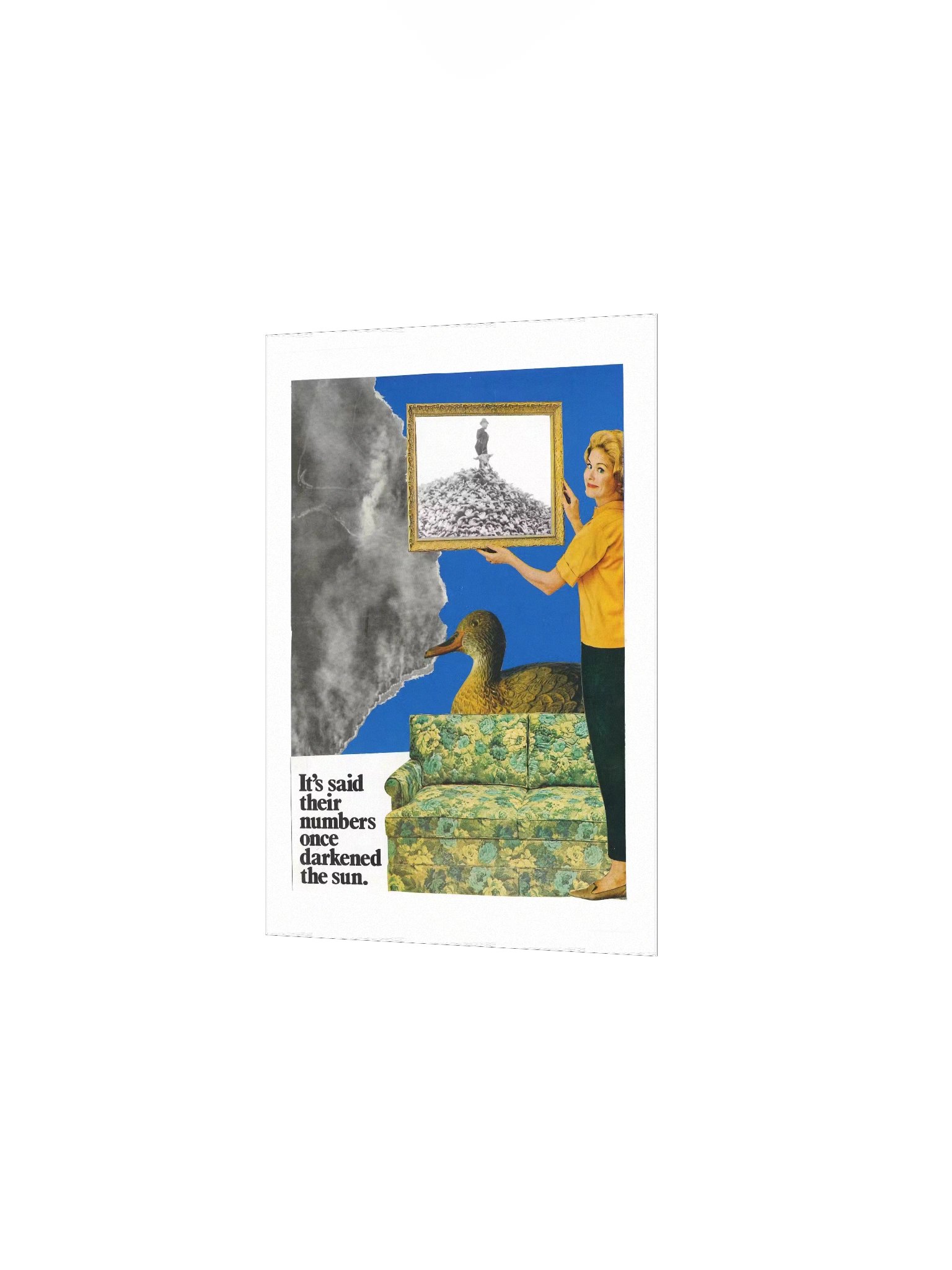 Old prob, new tricks. product image (2)