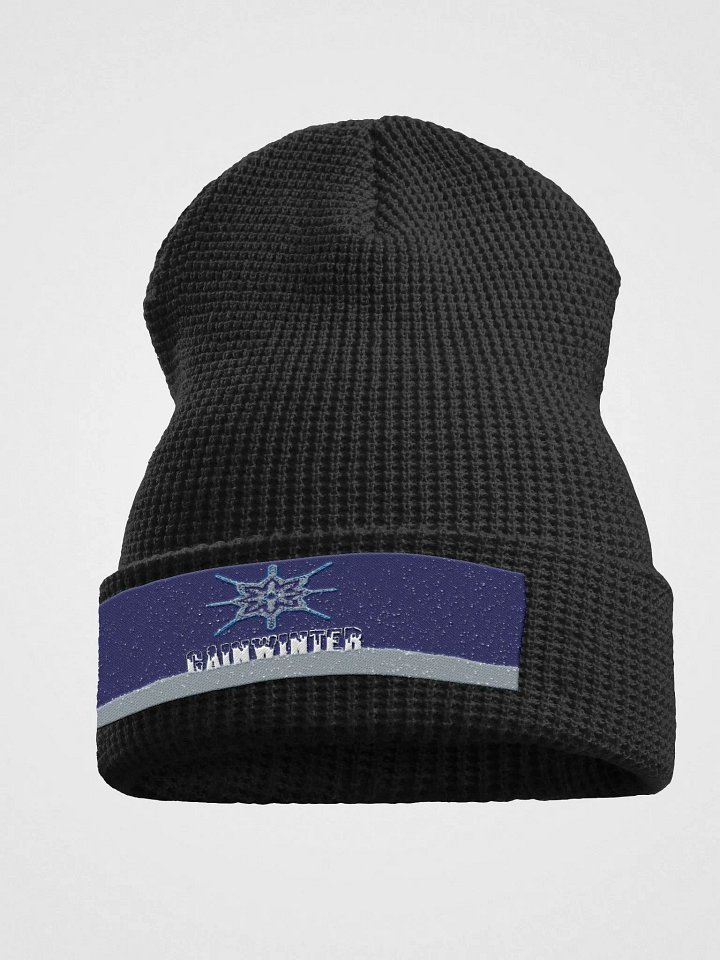 Winter Beanie product image (1)
