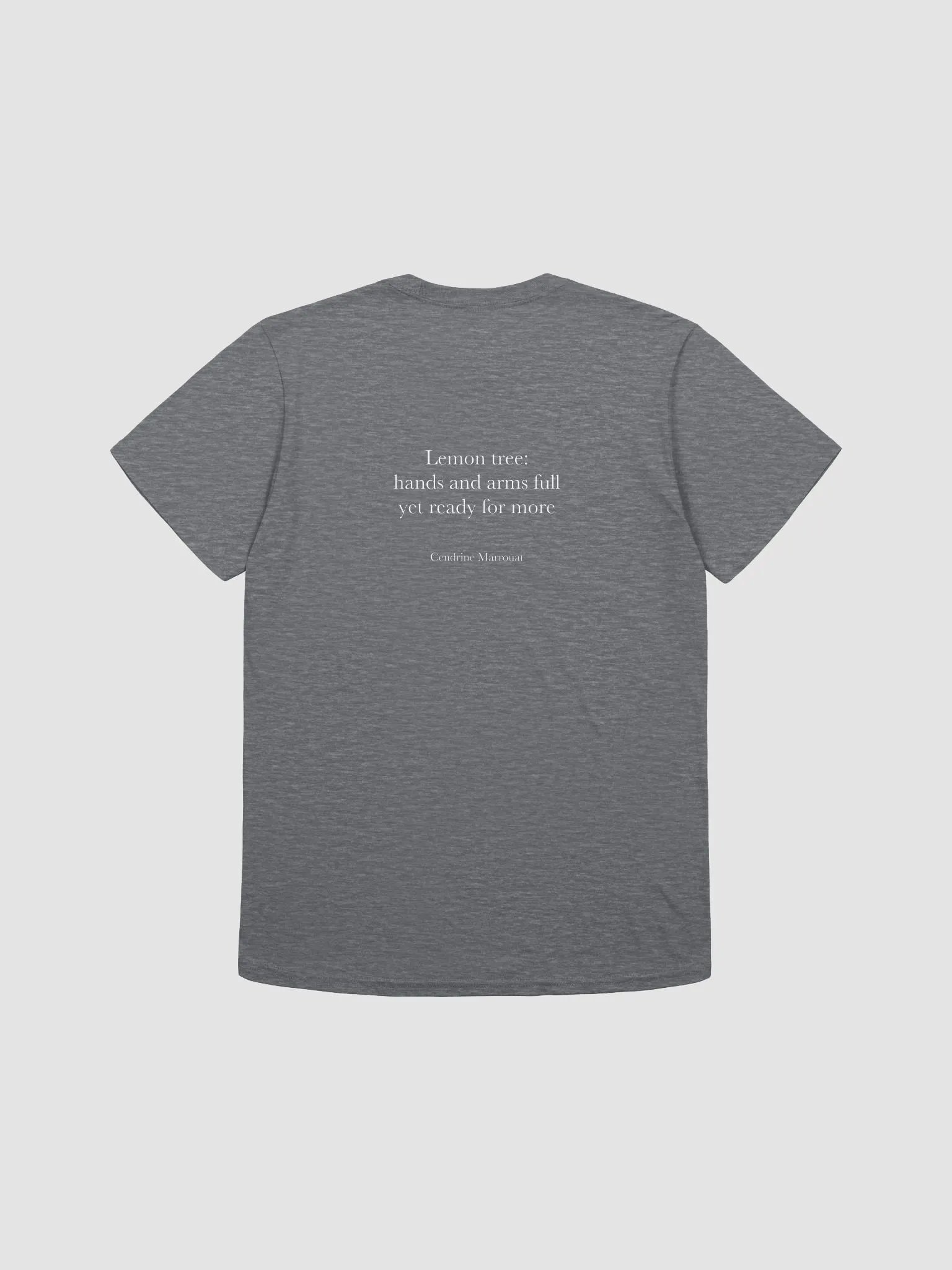 Haiku Tshirt product image (2)