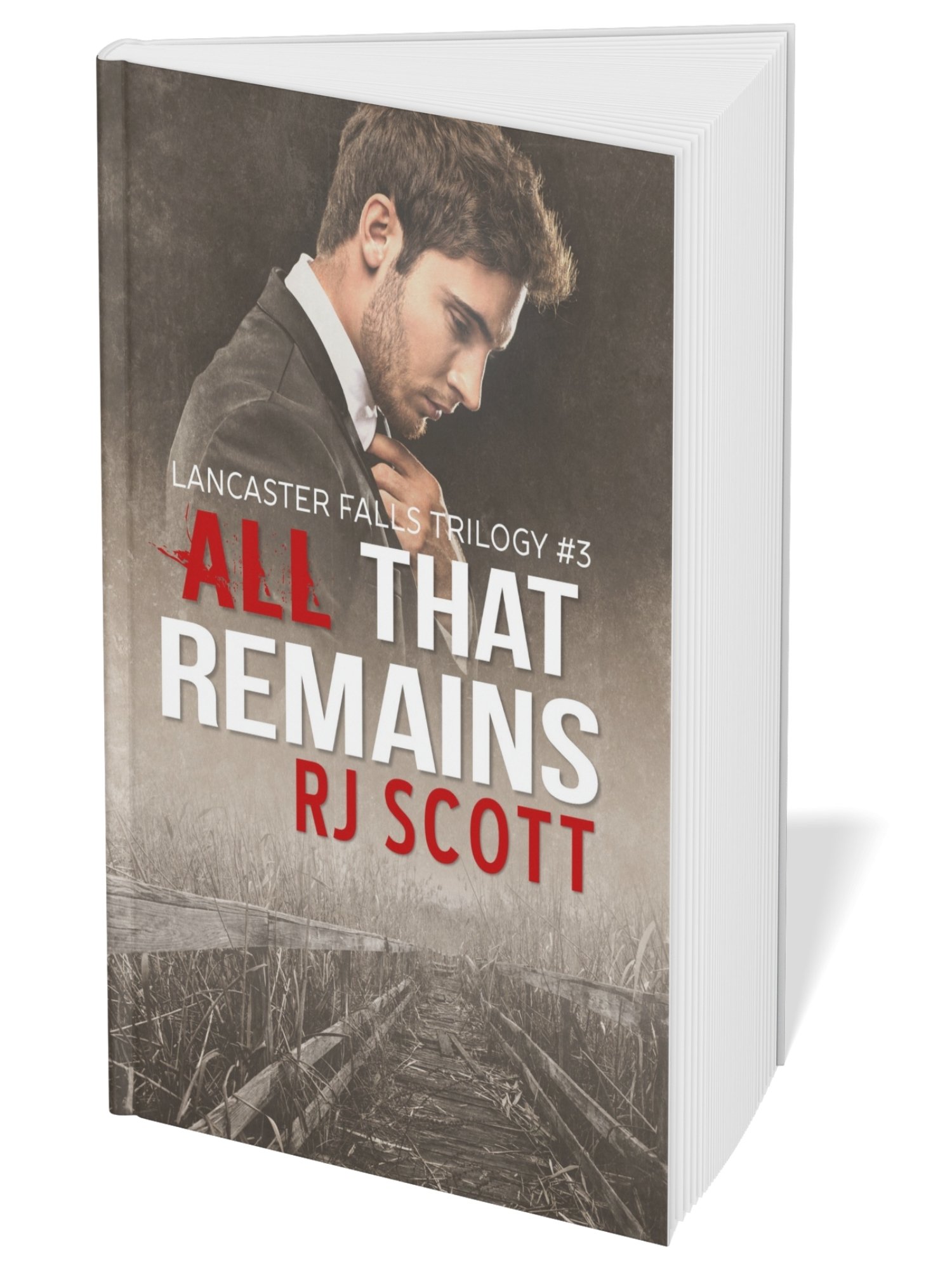 All That Remains (Lancaster Falls 3) product image (1)