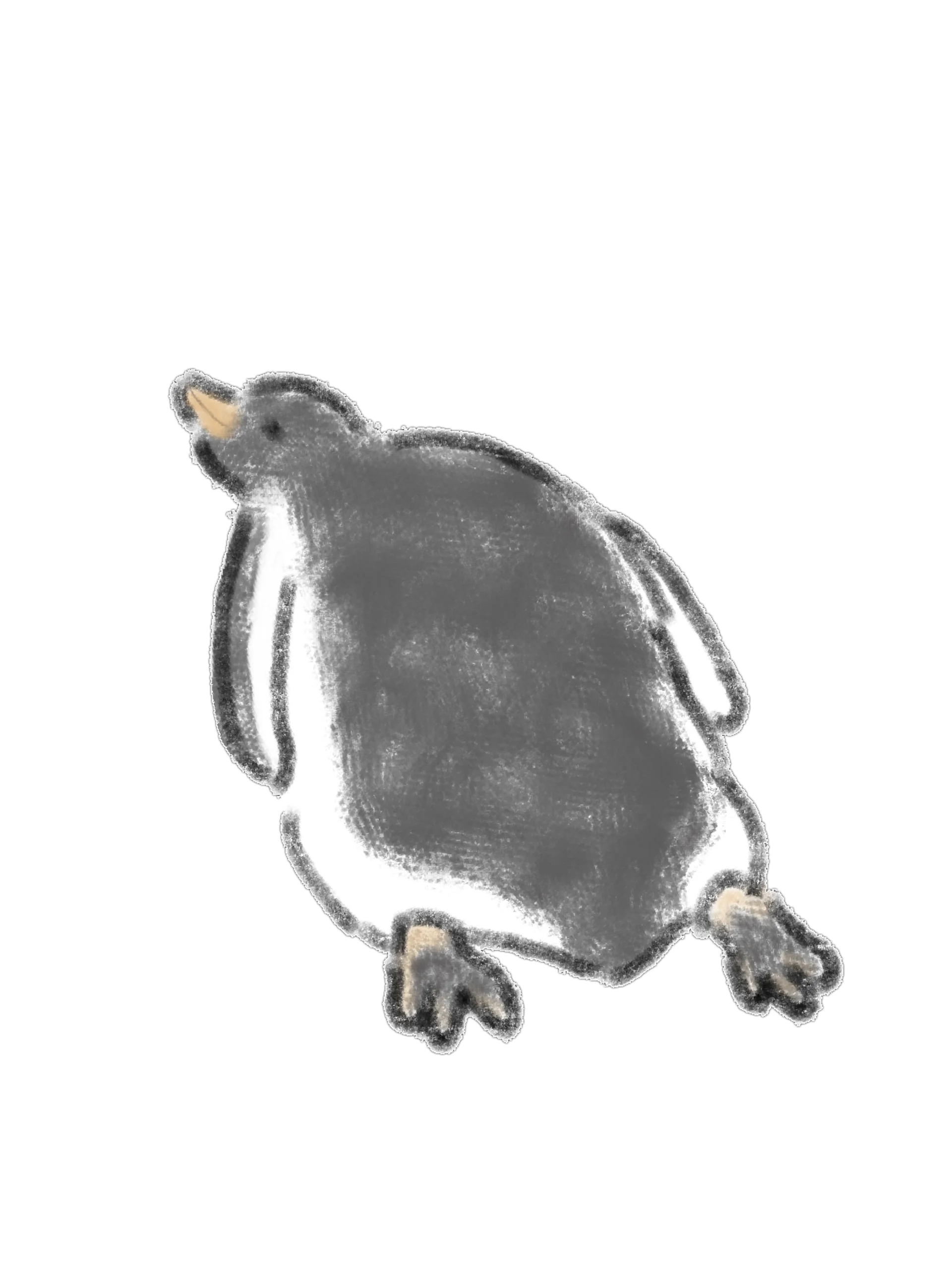 17 Hand-Drawn Penguin and Bird PNG Clipart Bundle product image (2)