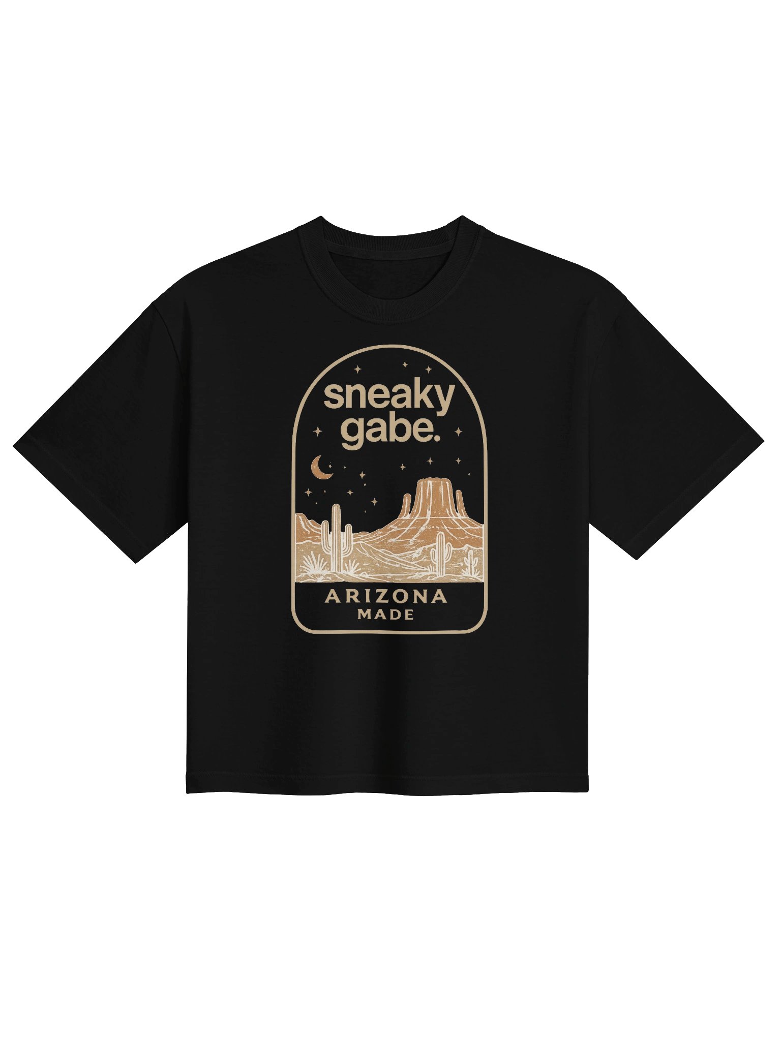 DESERT MISCHIEF BOXY TEE product image (1)
