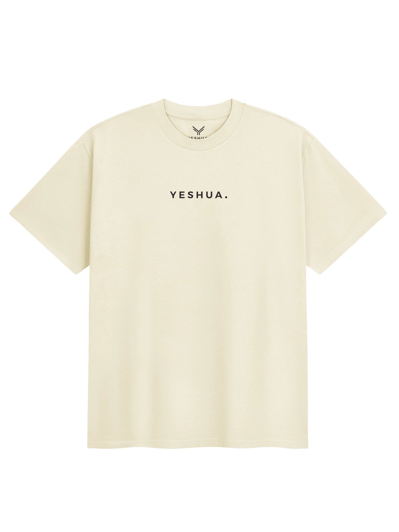 YESHUA.- HIS VICTORY OUR PURPOSE- HEAVY SHIRT product image (1)