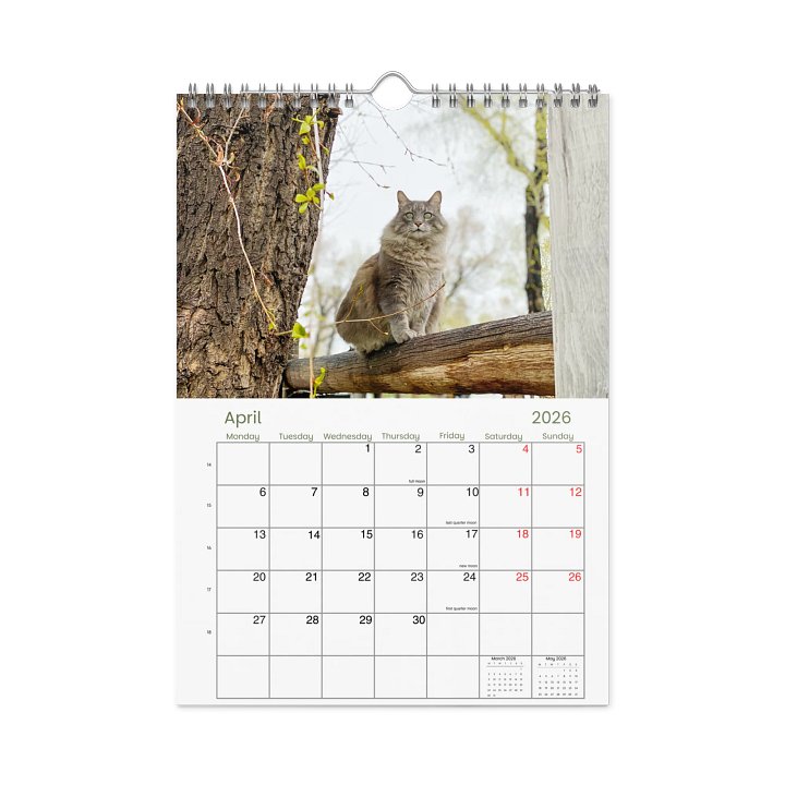 The Best Of Nanny: The 2026 Honeysada Mini Calendar product image (2)