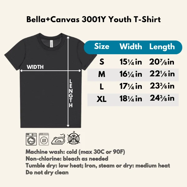 HOW TO TAKE YOUR DRAGON ON A TRAIN RIDE - YOUTH TEE product image (49)