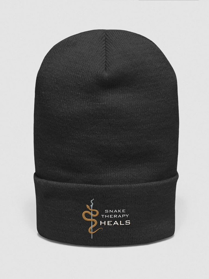 Snake Therapy Heals Beanie product image (1)