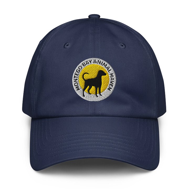 MBAH Logo Under Armour Dad Hat Embroidered product image (1)