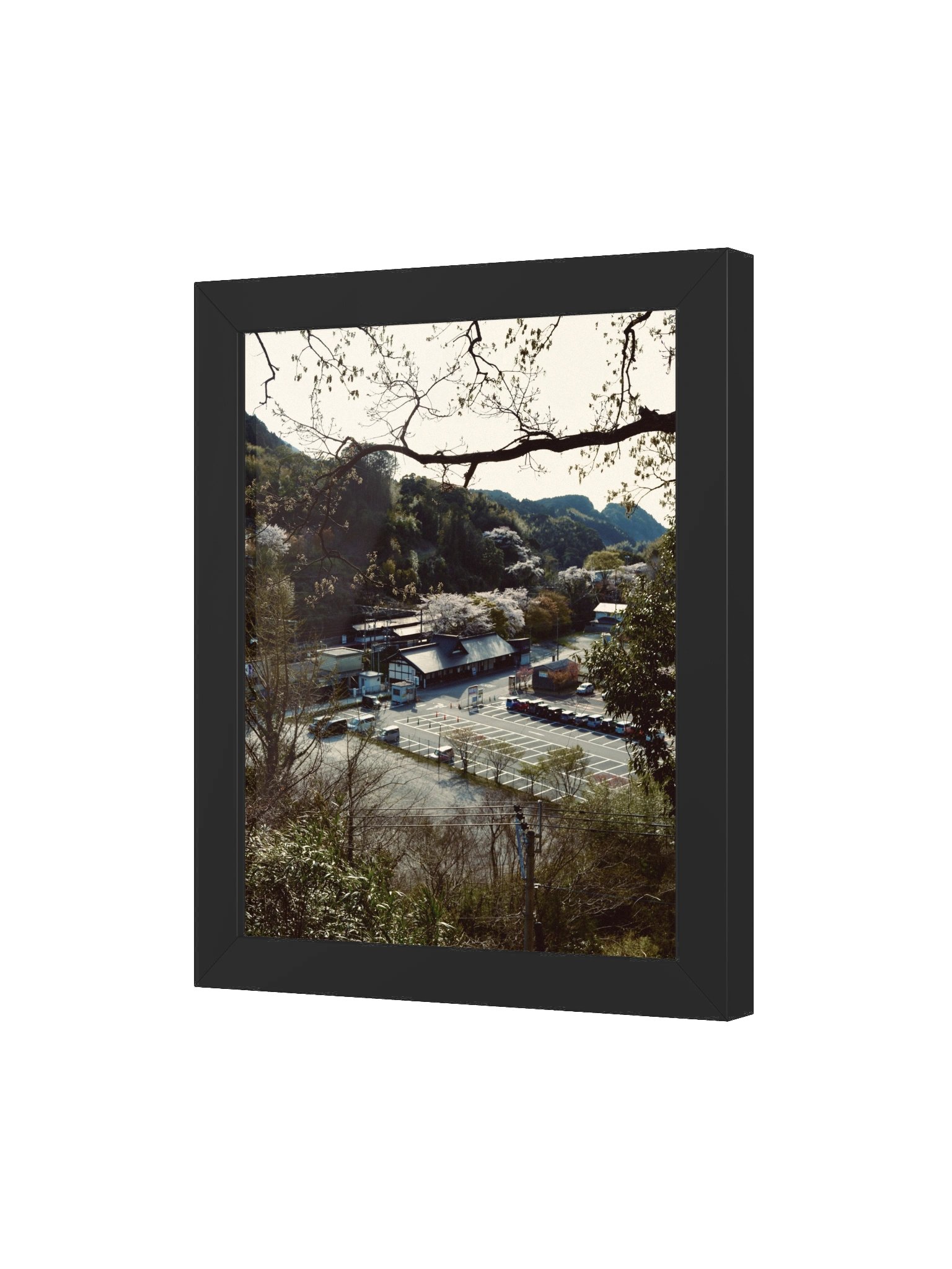 Sasaguri Fukuoka product image (44)