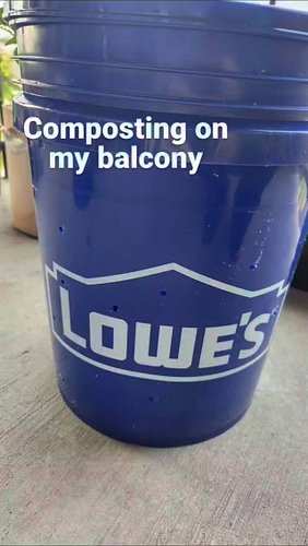 Composting on my Balcony in a bucket

#compost #balconygarden