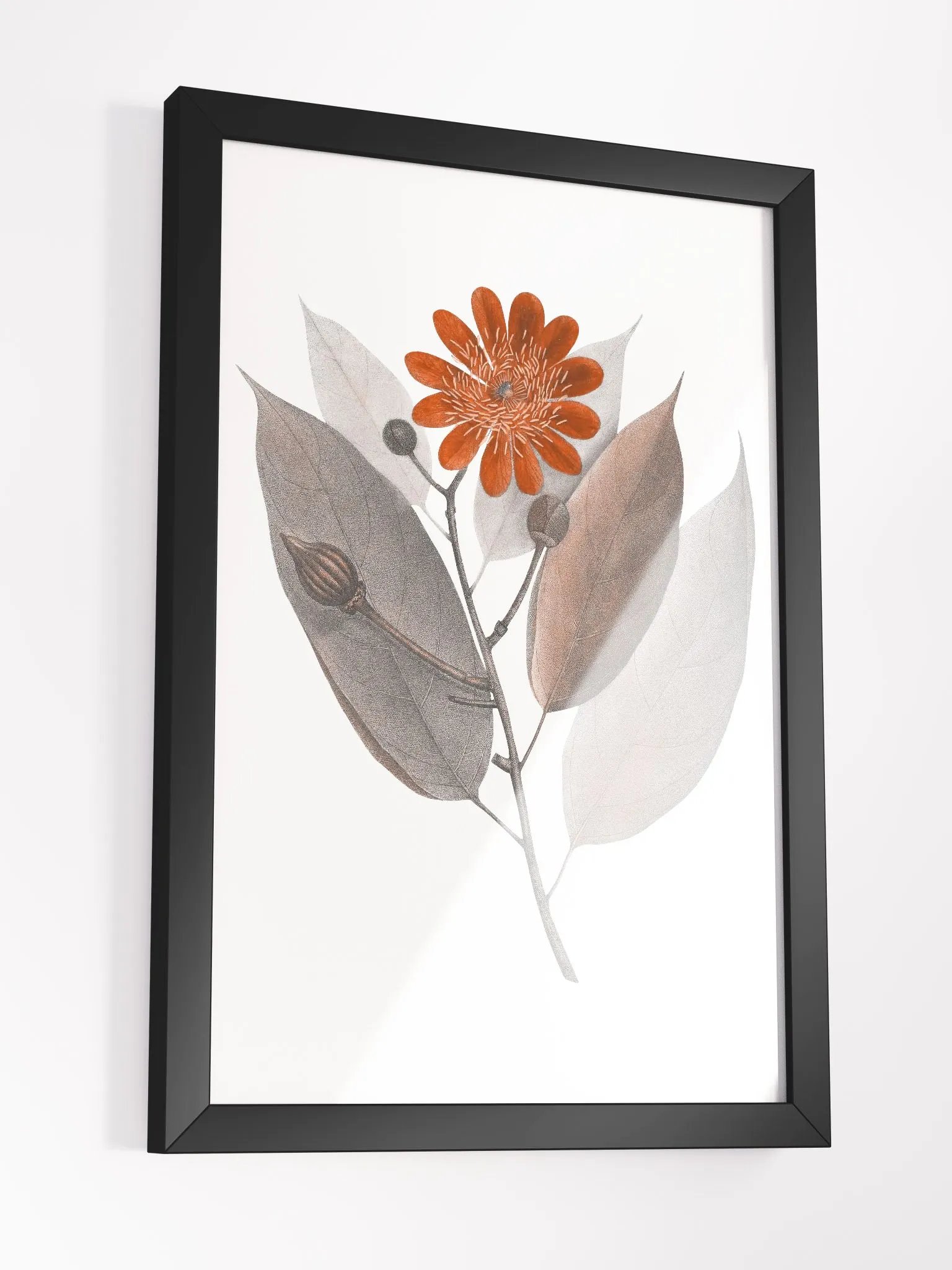Ecotone Rust Flower Framed Print product image (3)