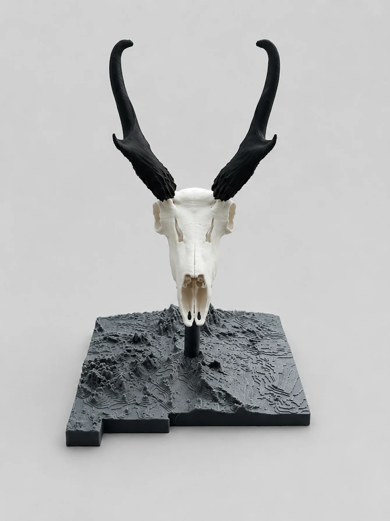 Pronghorn Euro Mount product image (1)