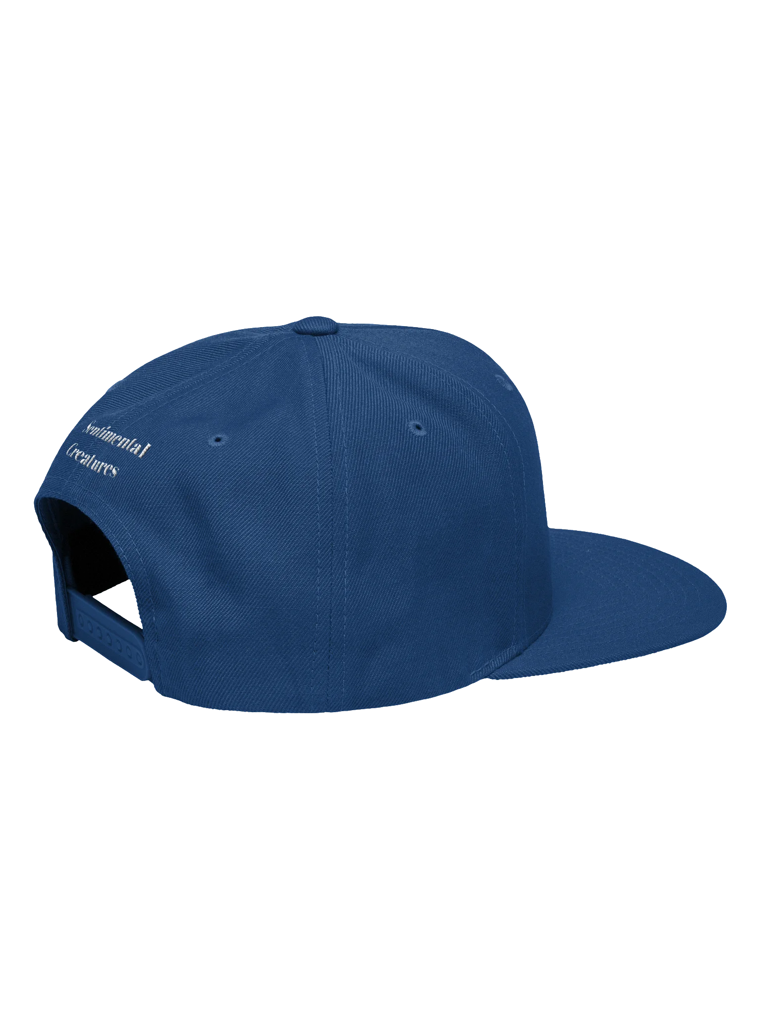 Sentimental Ballcap product image (14)