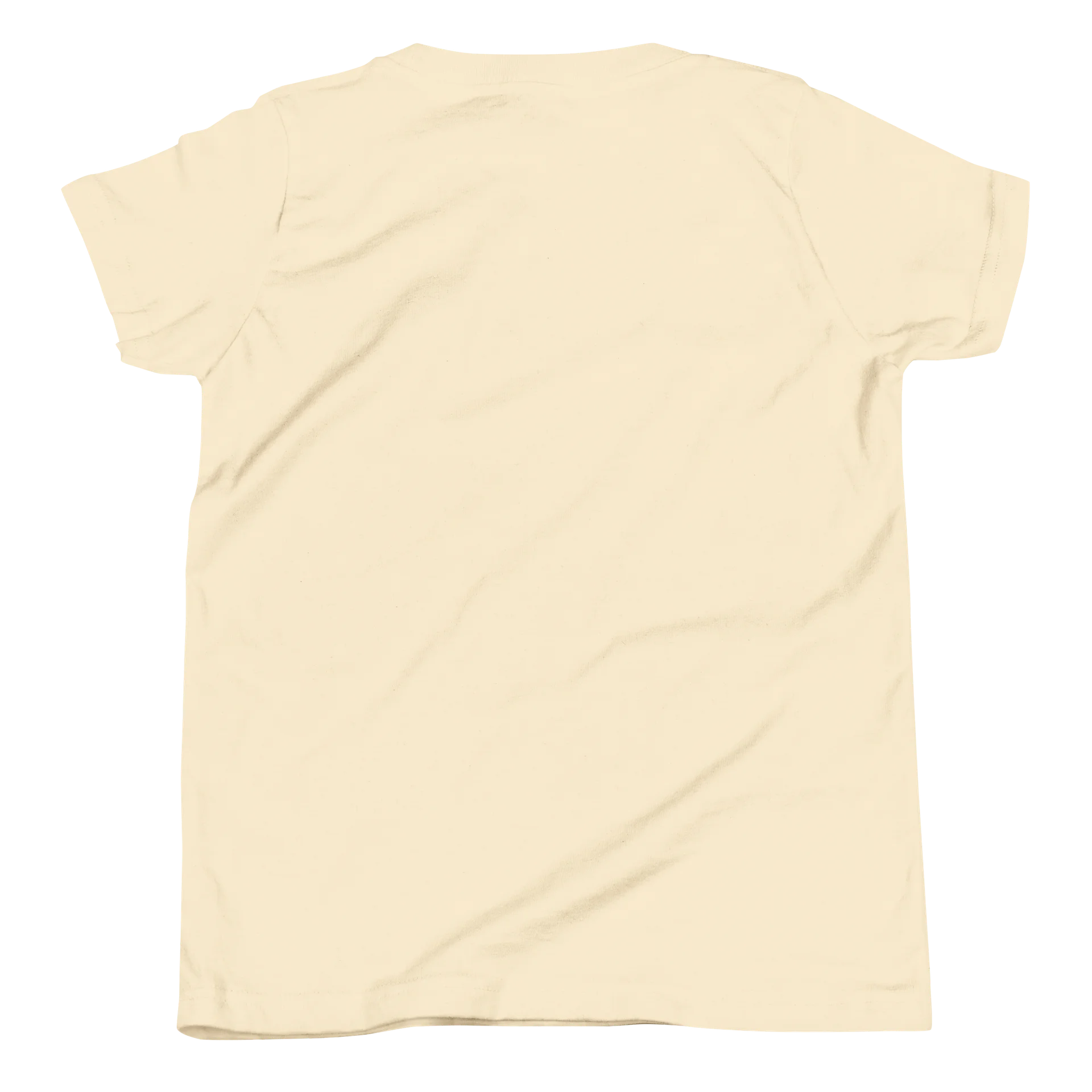 Brave Buddies Snapping Turtle Youth T-Shirt product image (36)