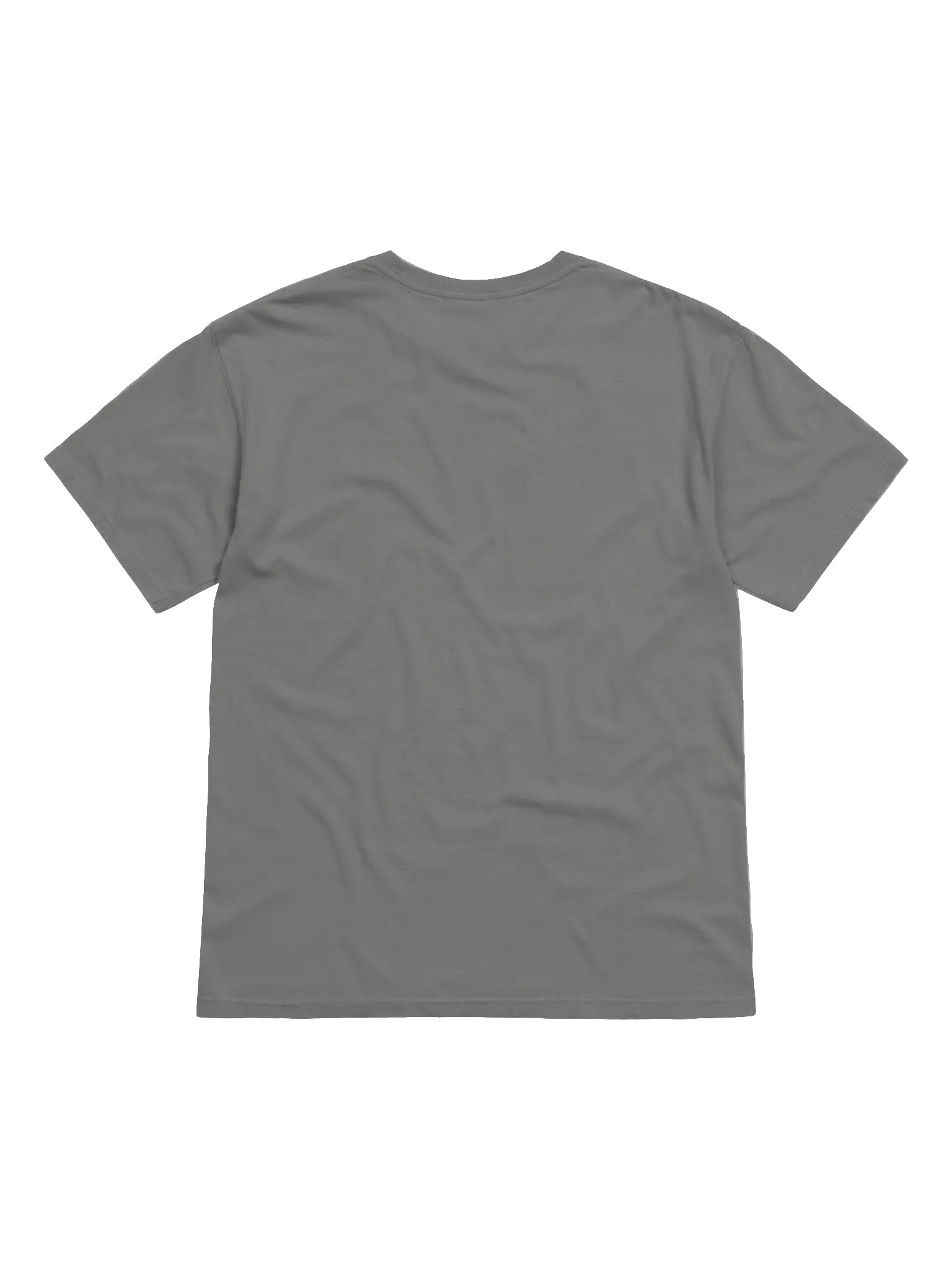 Resist and Withstand Comfort Tee product image (10)