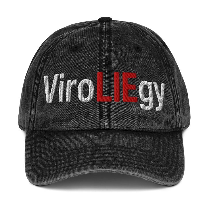 ViroLIEgy Hat Embroidered product image (1)