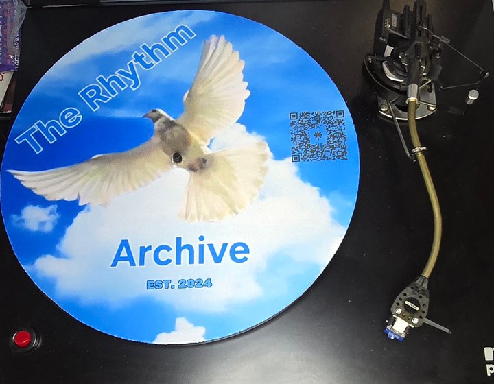 "Flying Bird" Slipmat - Rubber Vinyl Mat product image (2)