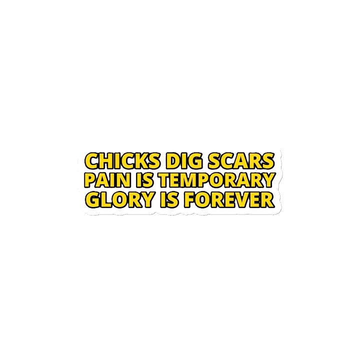 CHICKS DIG SCARS, PAIN IS TEMPORARY, GLORY IS FOREVER product image (2)
