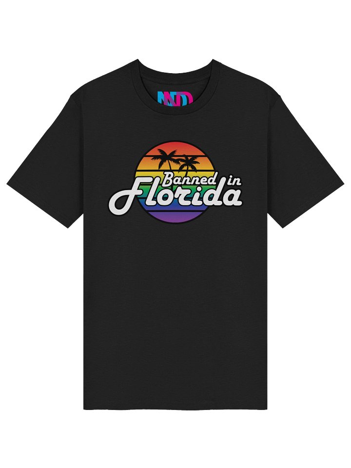 Banned in Florida Tee product image (1)