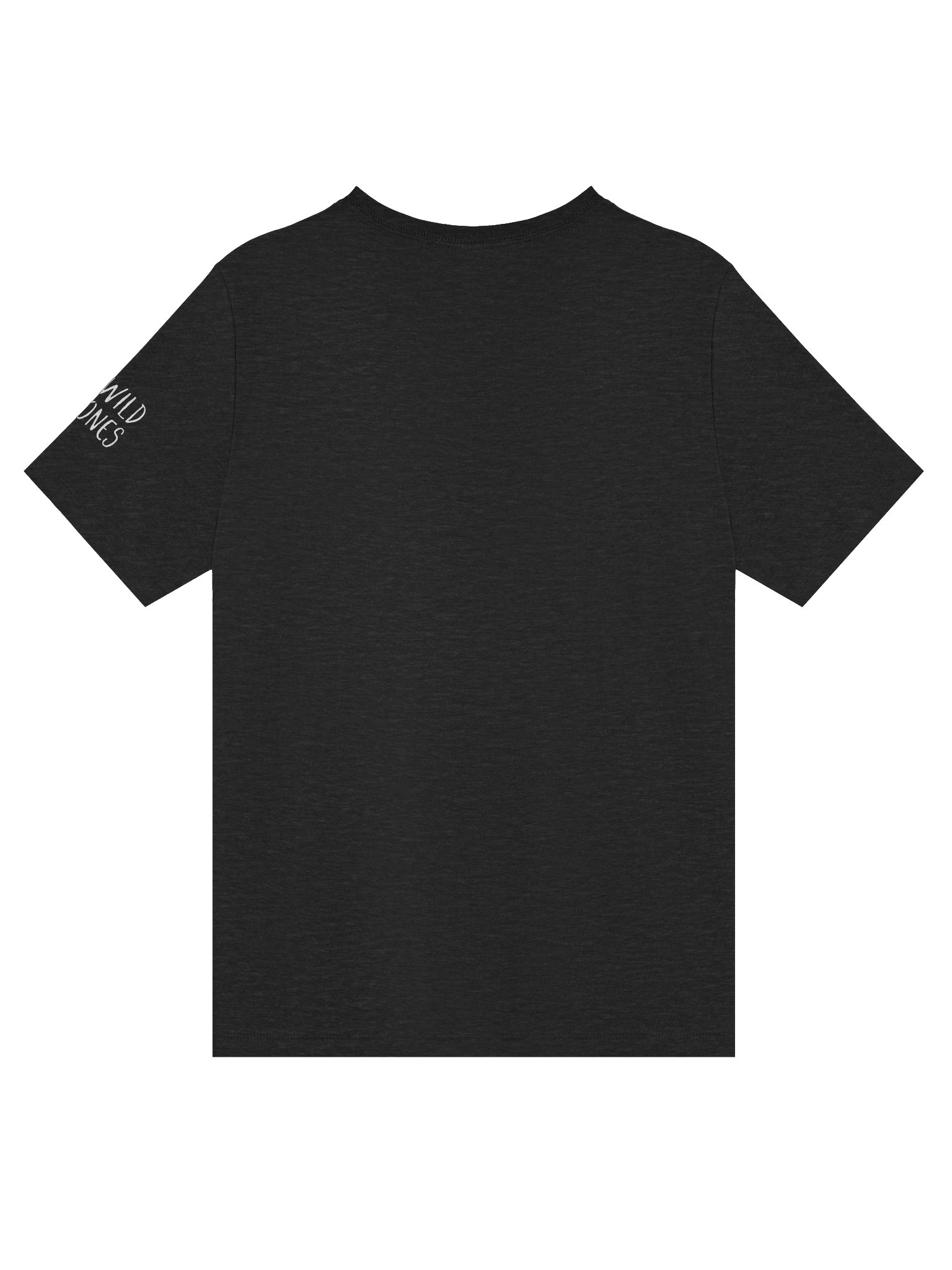 Ask Me About Native Plants - Pride (Women's Relaxed V-Neck T-Shirt) product image (15)
