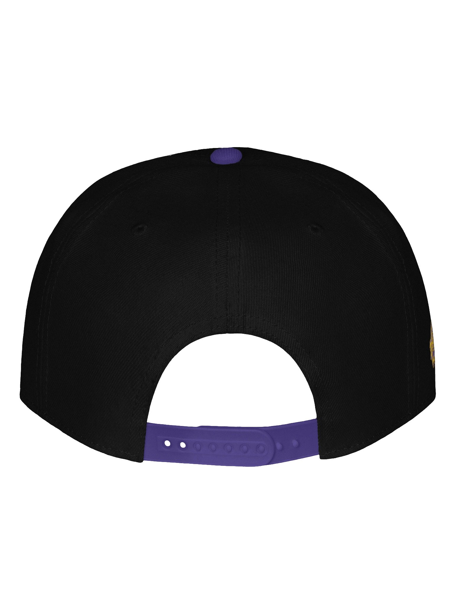 Outerbelt Tardigrades Snapback Cap product image (4)
