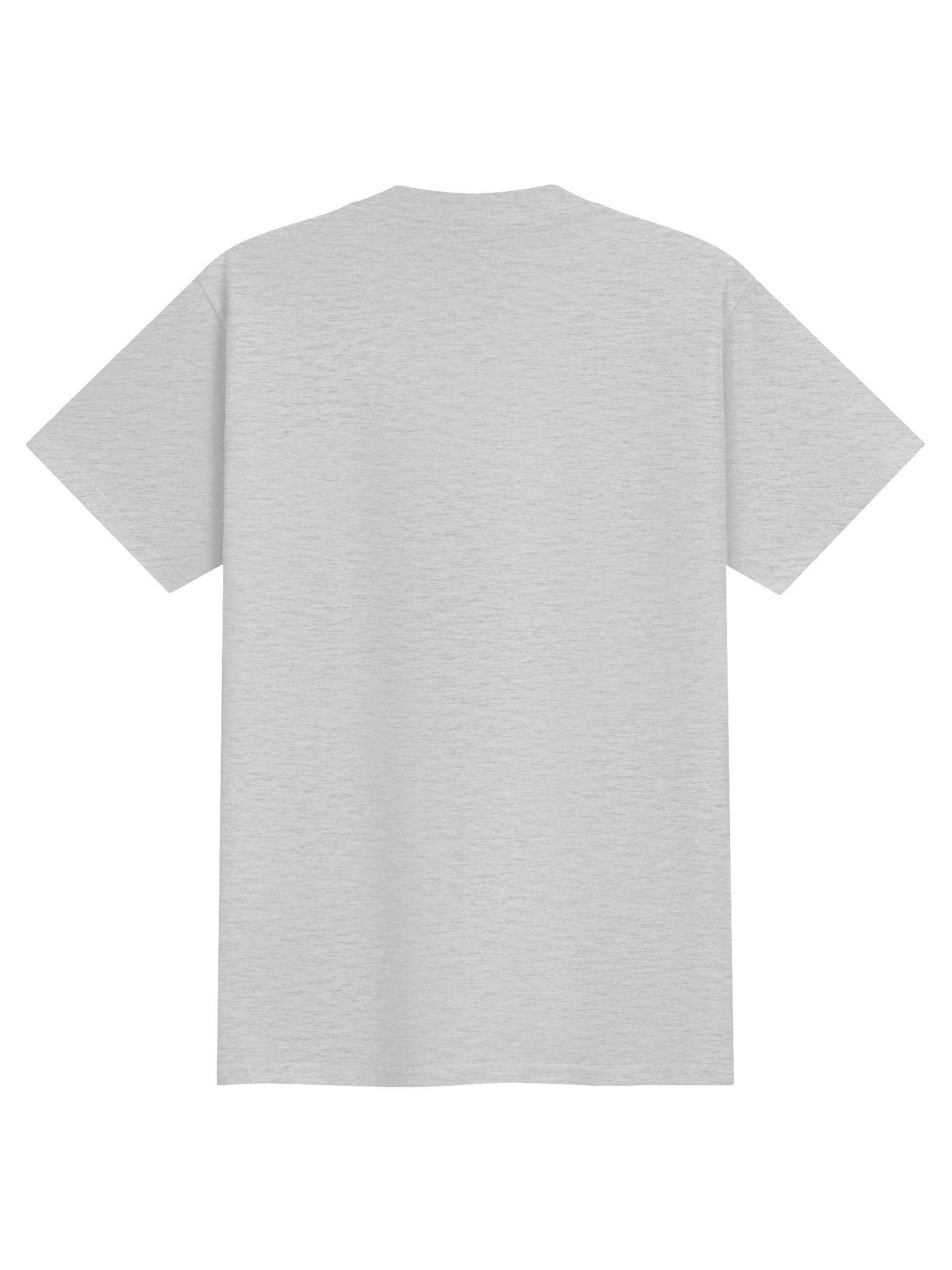 YOUTH Home of the Lions Tee - Gildan product image (2)