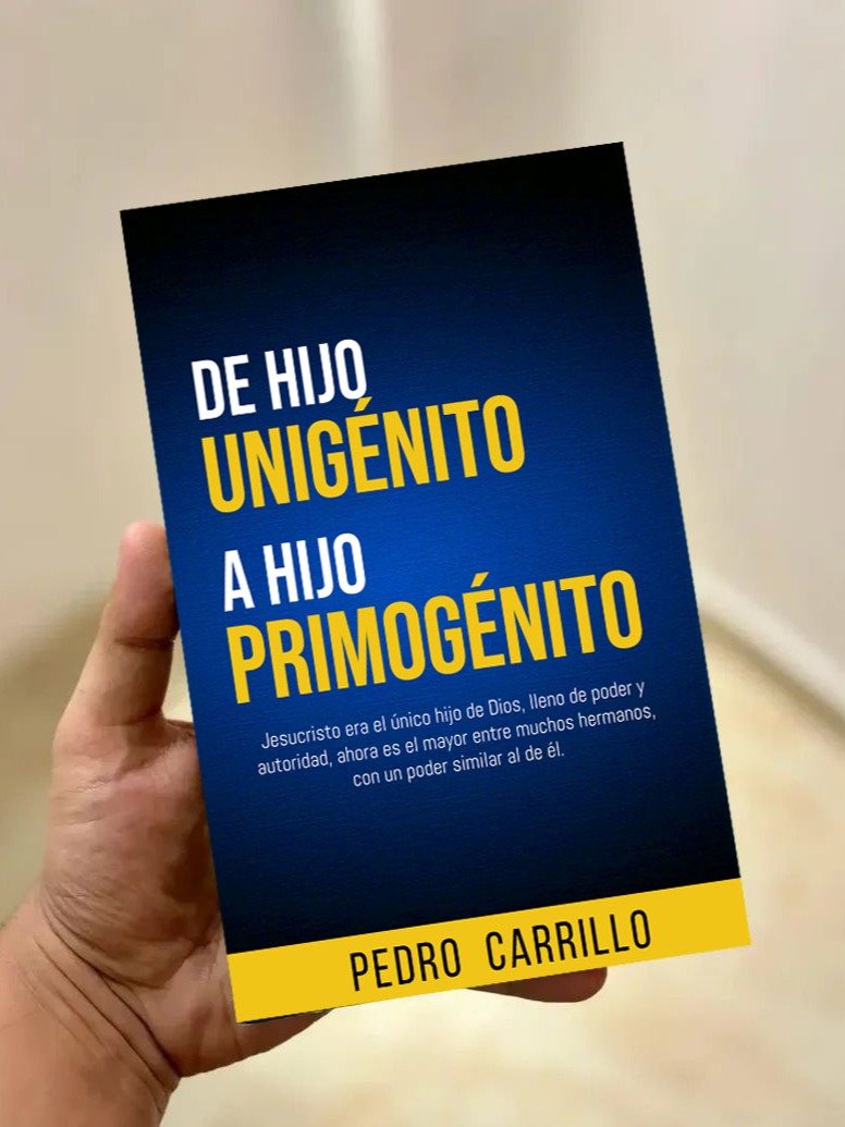 De hijo Unigénito a hijo Primogénito product image (2)