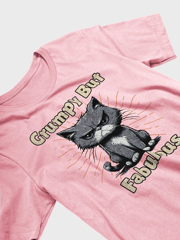 Grumpy But Fabulous Cat Cartoon T-Shirt product image (2)