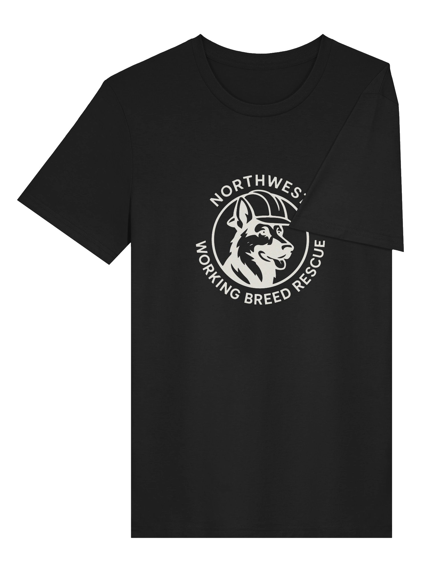 T-shirt product image (10)