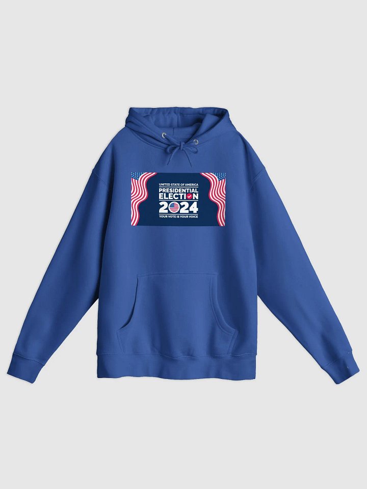 USA 2024 Presidential Election Premium Hoodie product image (9)